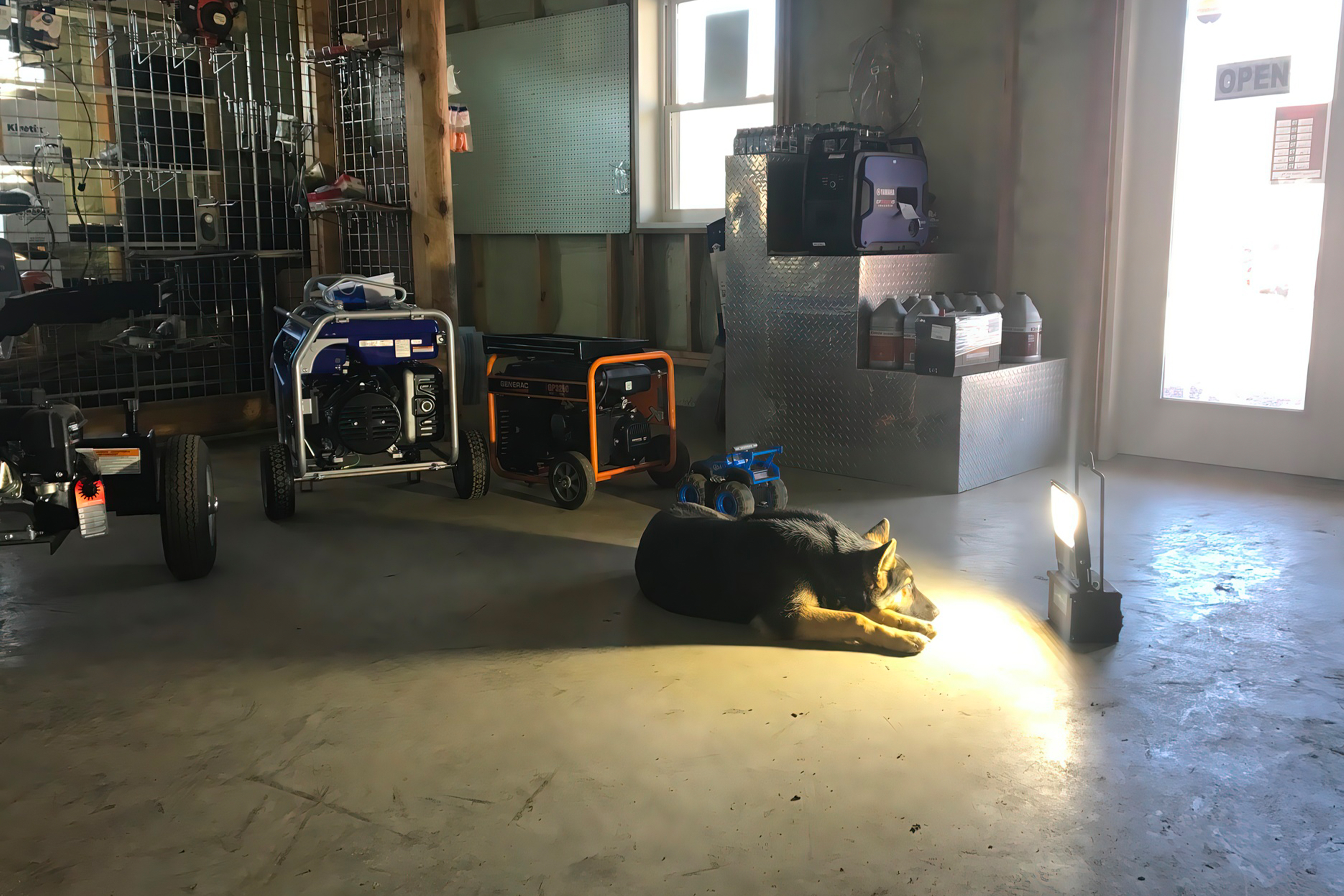 Ben's Engine Repair gard dog
